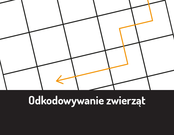 Odkodowywanie zwierząt