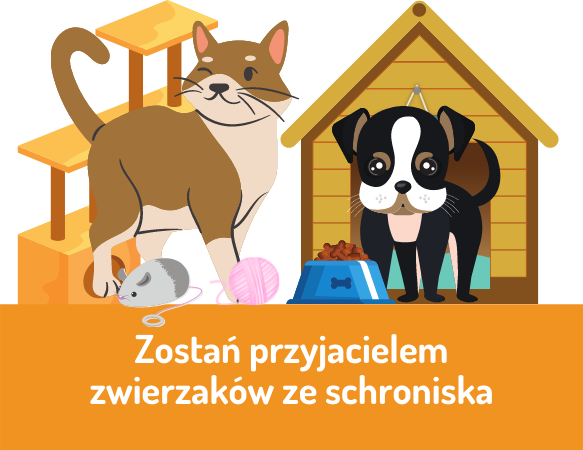 Zostań przyjacielem zwierzaków ze schroniska