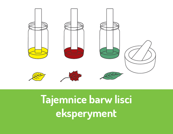 Tajemnice barw liści