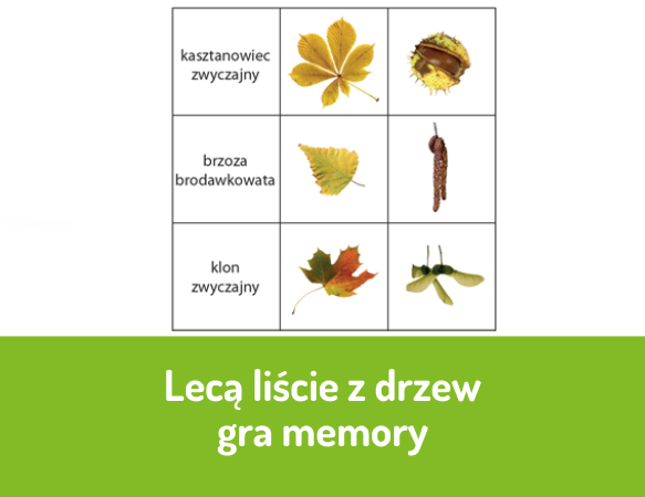 Lecą liście z drzew