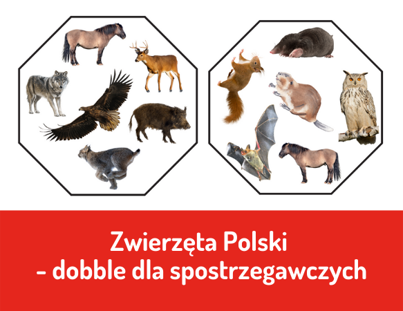 Zwierzęta Polski. Dobble dla spostrzegawczych