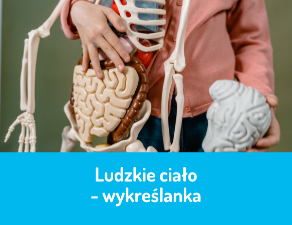 Ludzkie ciało - wykreślanka