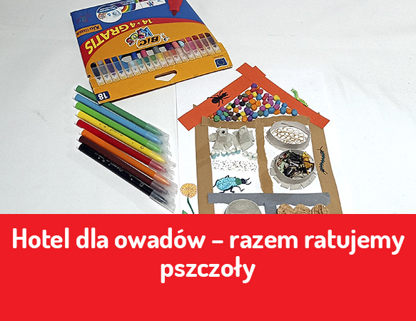 Hotel dla owadów – razem ratujemy pszczoły