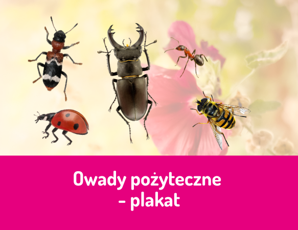 Owady pożyteczne - plakat