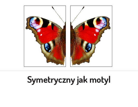 Symetryczny jak motyl