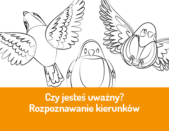 Czy jesteś uważny? Rozpoznawanie kierunków