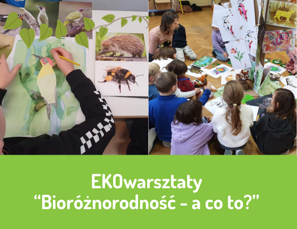 EKOwarsztaty "Bioróżnorodność - a co to?