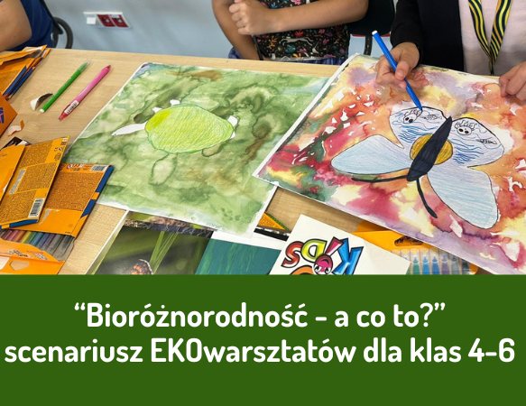 "Bioróżnorodność - a co to?"