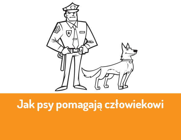 Jak psy pomagają człowiekowi?