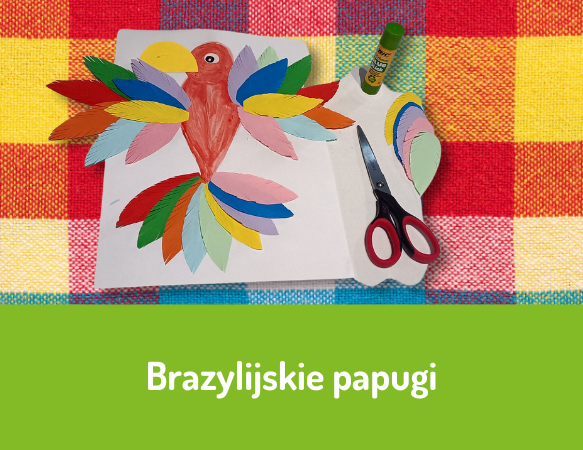 Brazylijskie papugi