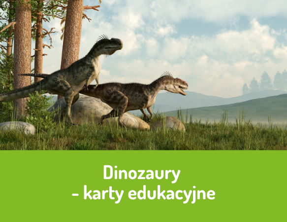 Dinozaury - karty edukacyjne