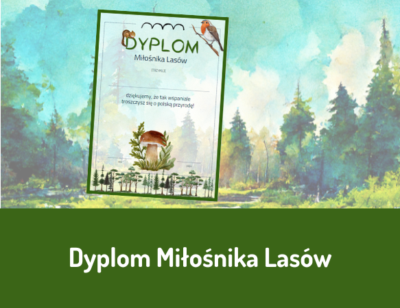 Dyplom Miłośnika Lasów