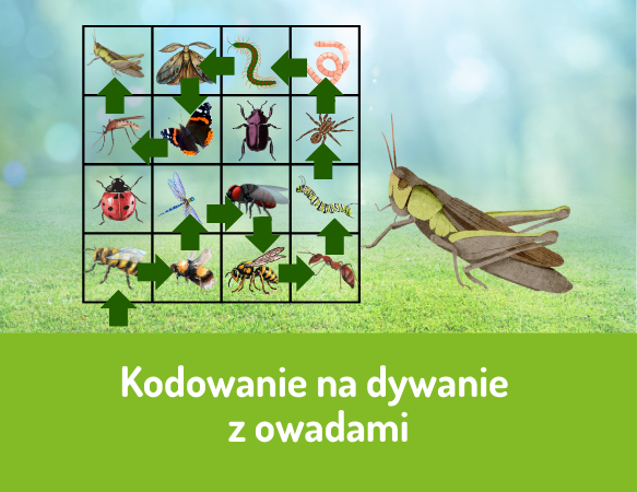 Kodowanie na dywanie z owadami