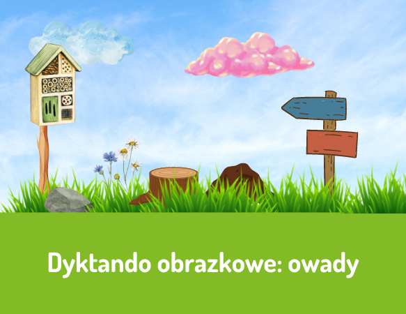 Dyktando obrazkowe: owady