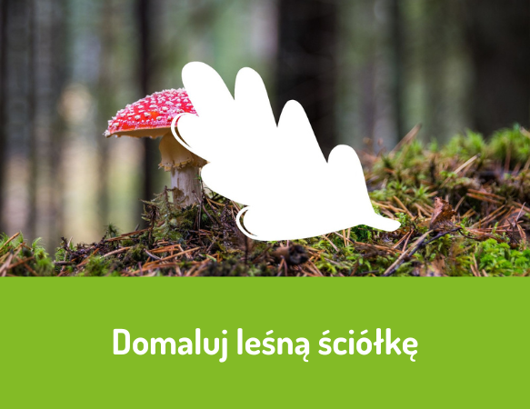 Domaluj leśną ściółkę