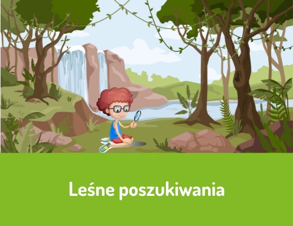 Leśne poszukiwania