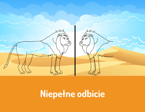 Niepełne odbicie