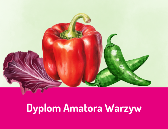 Dyplom Amatora Warzyw