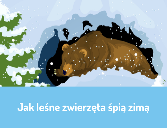 Jak leśne zwierzęta śpią zimą?