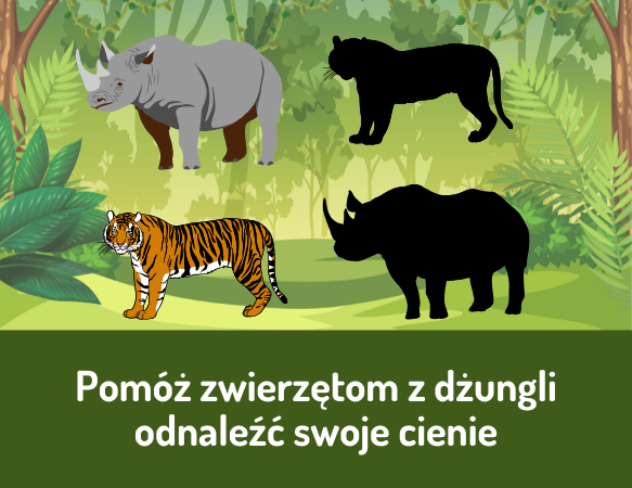 Pomóż zwierzętom z dźungli odnaleźć swoje cienie