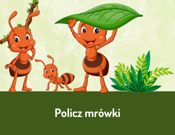 Policz mrówki