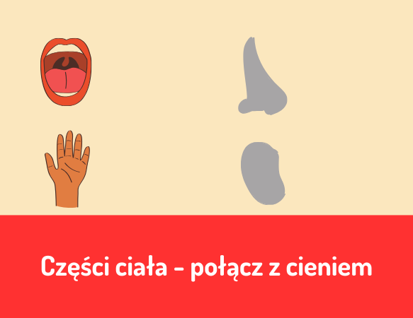 Części ciała - połącz z cieniem