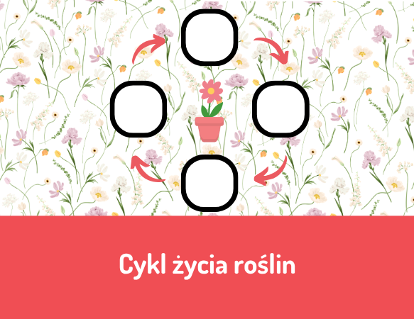 Cykl życia roślin