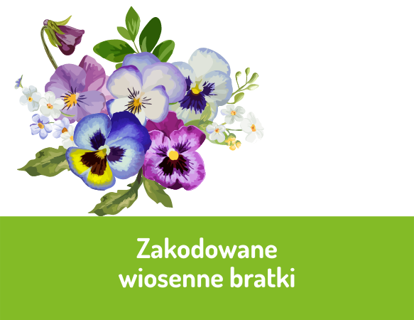 Zakodowane wiosenne bratki