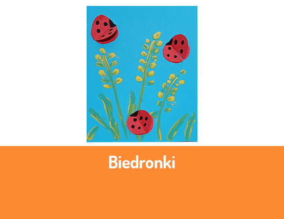 Biedronki