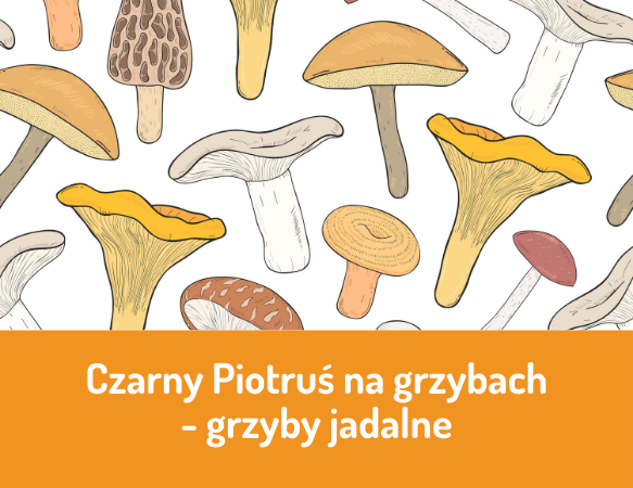 Czarny Piotruś na grzybach – grzyby jadalne