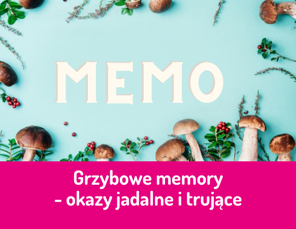 Grzybowe memory – okazy jadalne i trujące