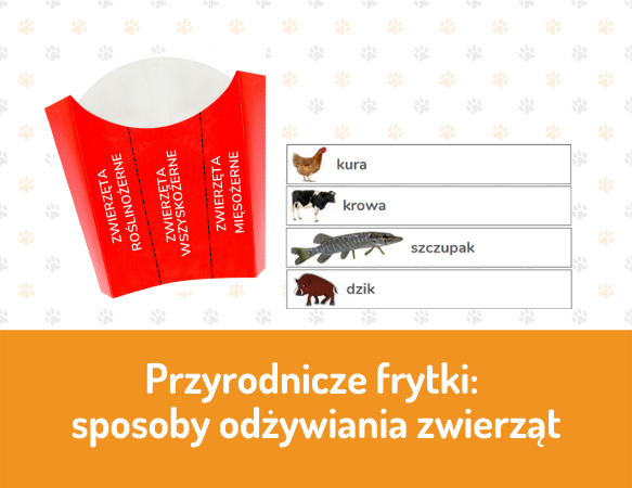 Przyrodnicze frytki – sposoby odżywiania zwierząt