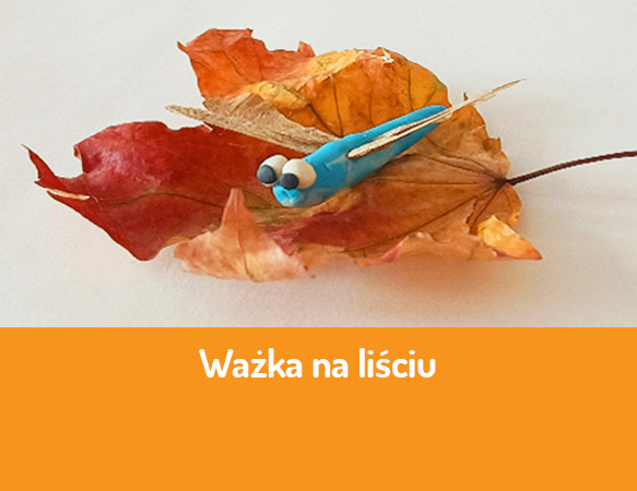 Ważka na liściu