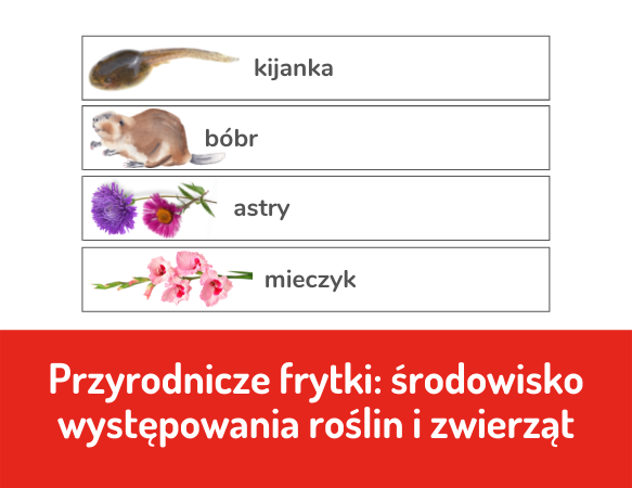 Przyrodnicze frytki – środowisko występowania roślin i zwierząt