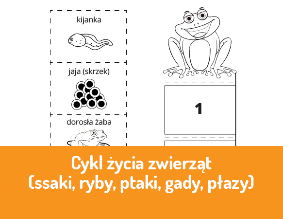 Cykl życia zwierząt (ssaki, ryby, ptaki, gady, płazy)